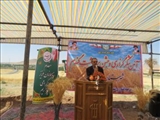 آئین شکرگزاری و برداشت گندم در شهرستان مراغه برگزار شد